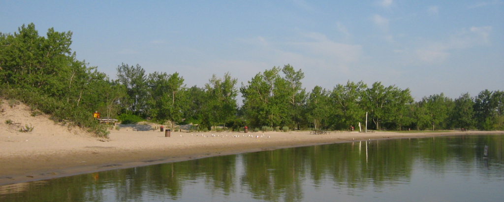 A sandy beach on a sunny day