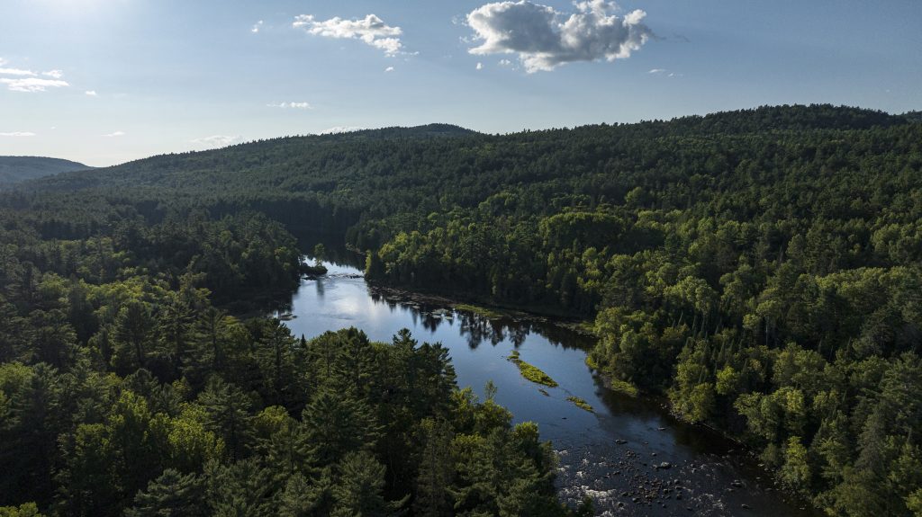 Vue aérienne d’une rivière serpentant à travers une forêt