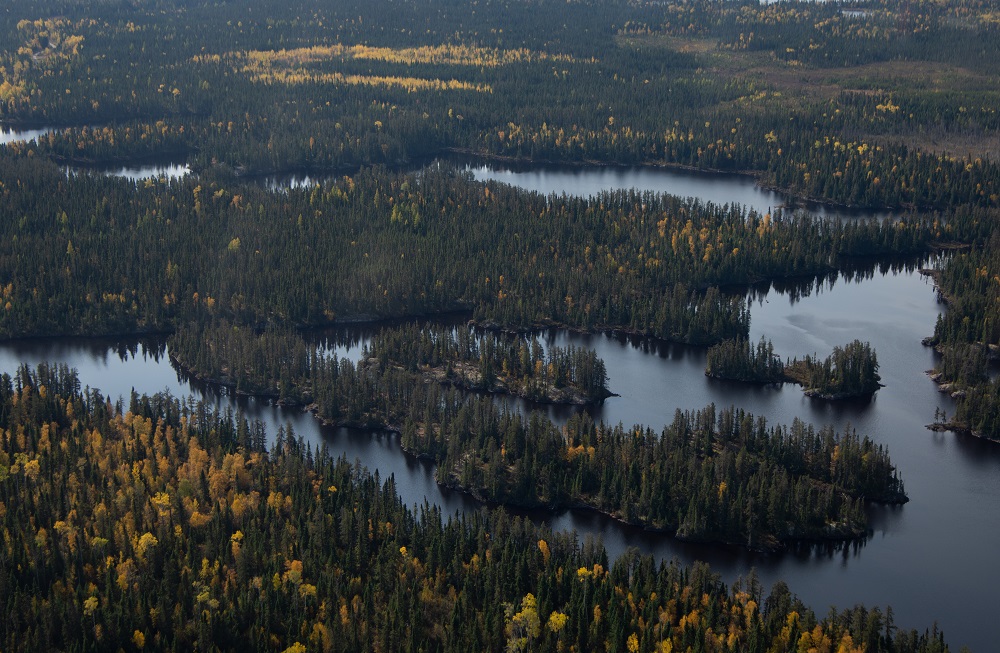 aerial photo of park