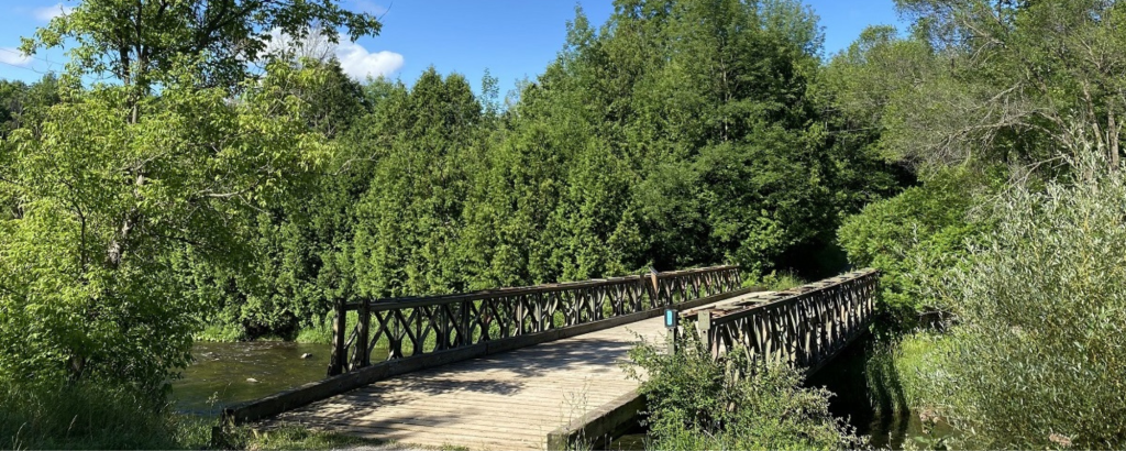 A bridge across a river in the forest