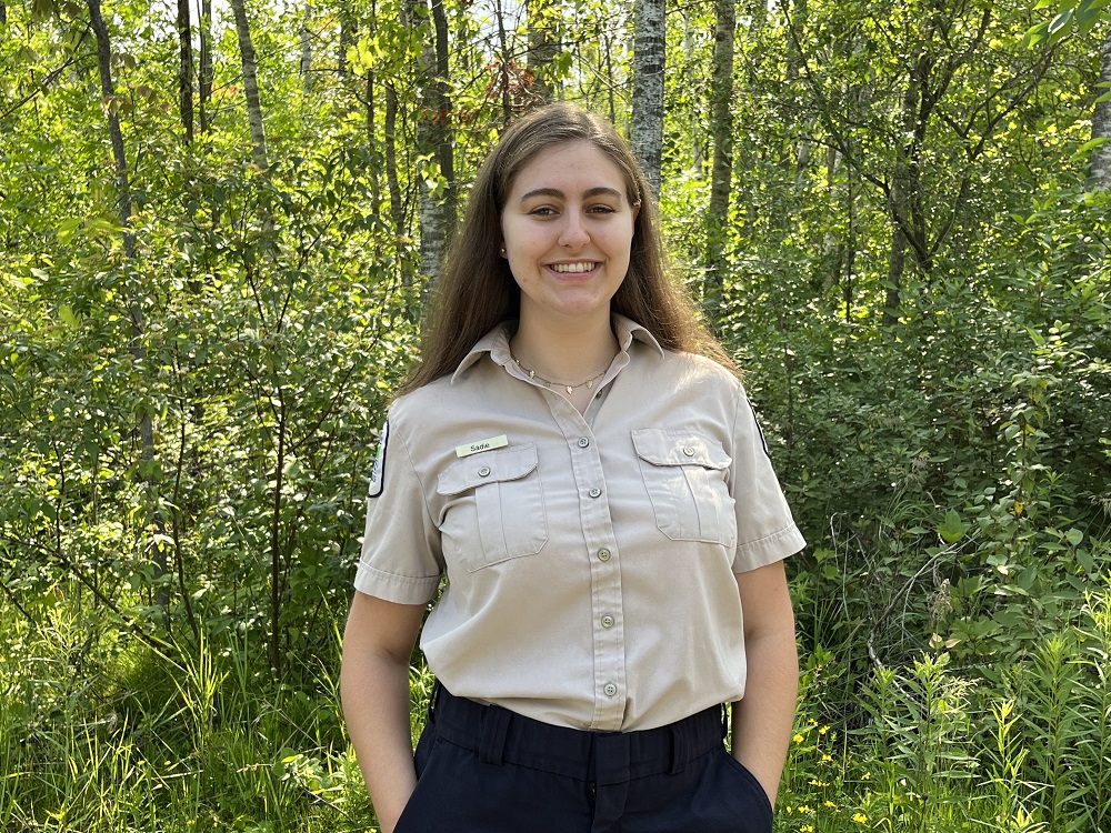 staff in front of forest