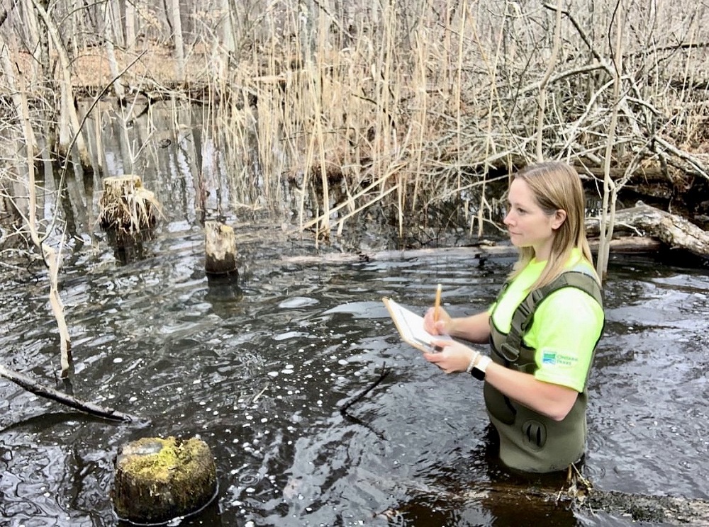 staff in wetland with clipboard