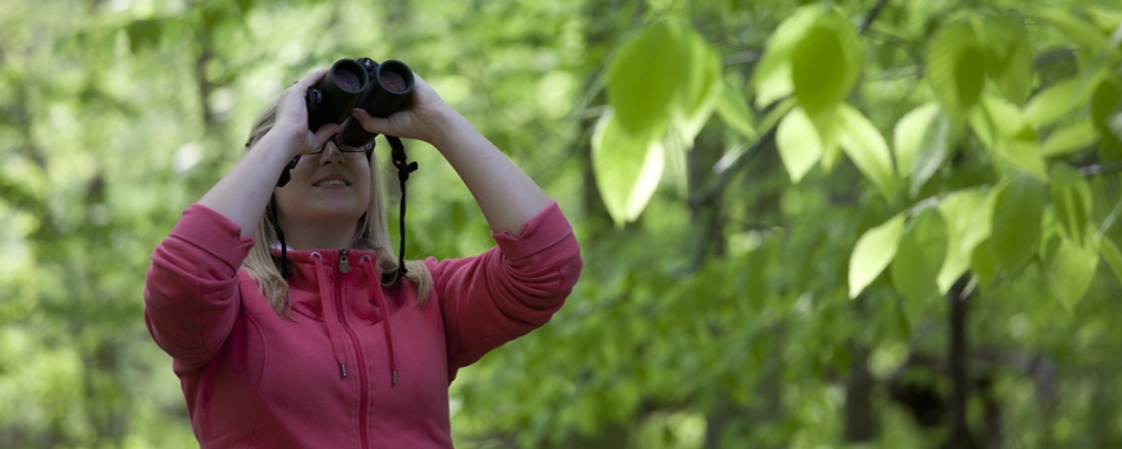 A person birding with binoculars