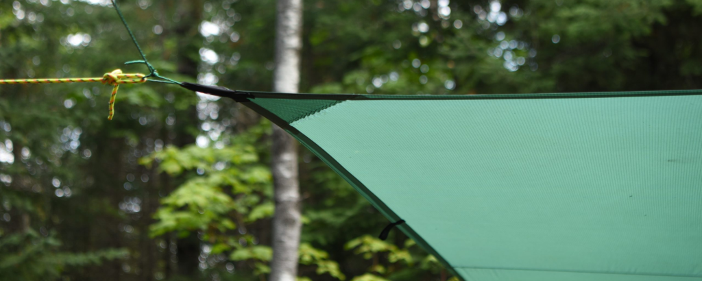 A corner of a green tarp tied to a tree