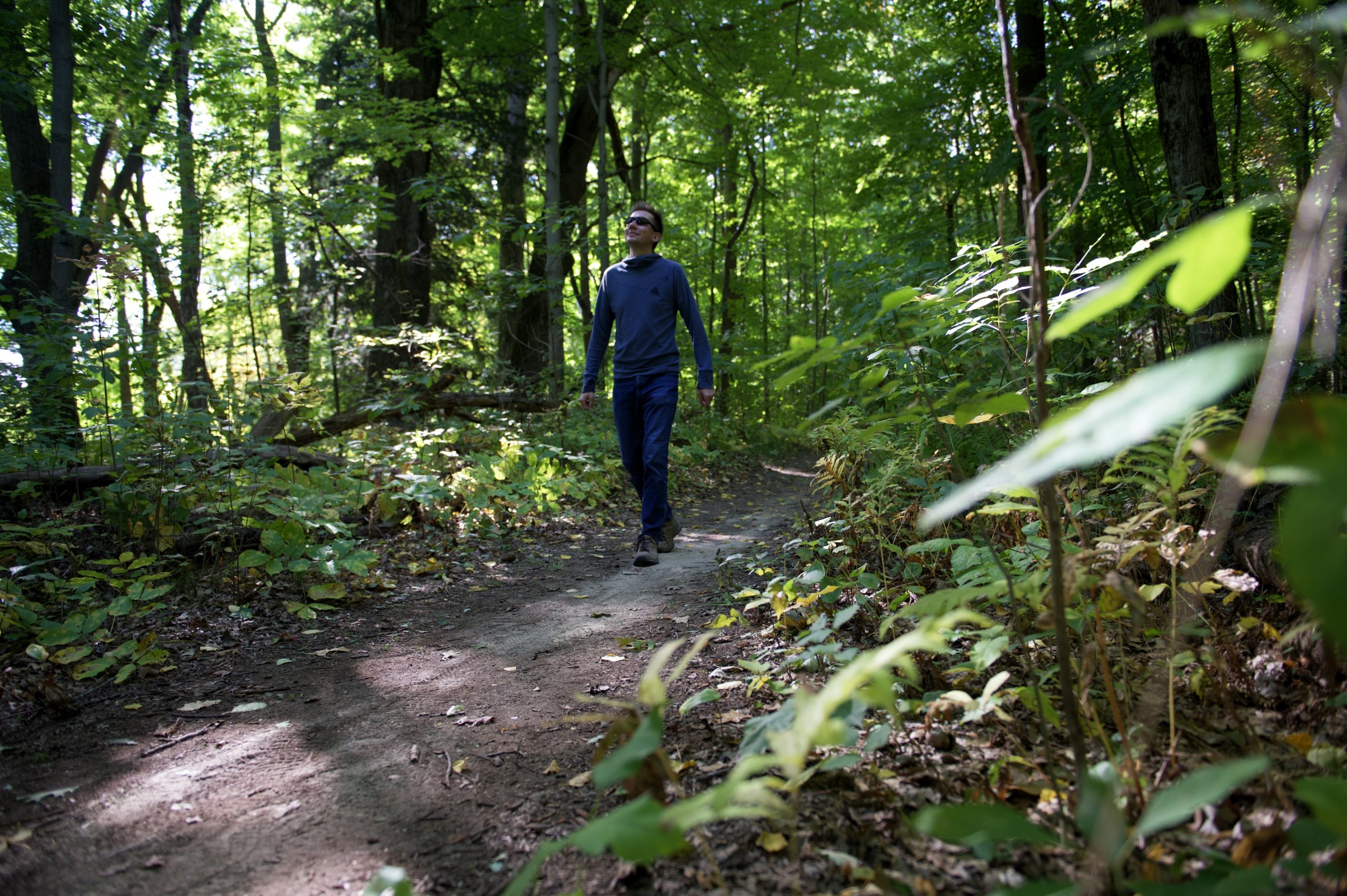 Hiker on forested trail