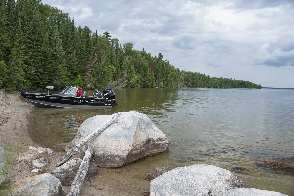 boat on shore