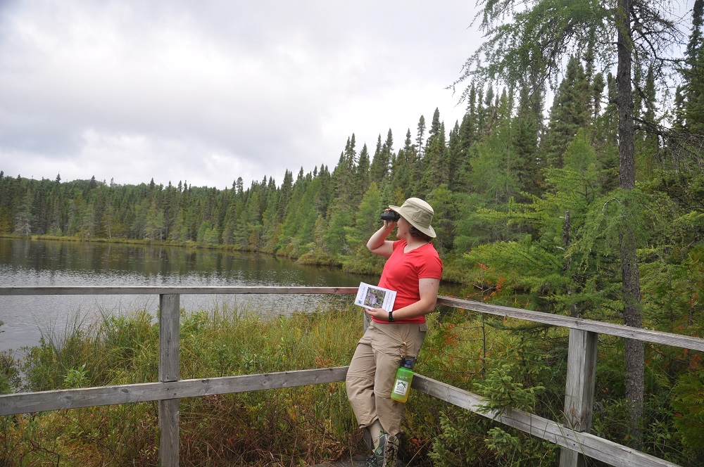 On the Tiny Bog Trail