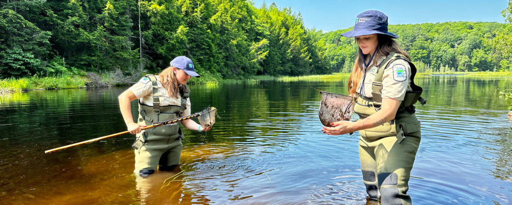 Staff dipnetting in a lake
