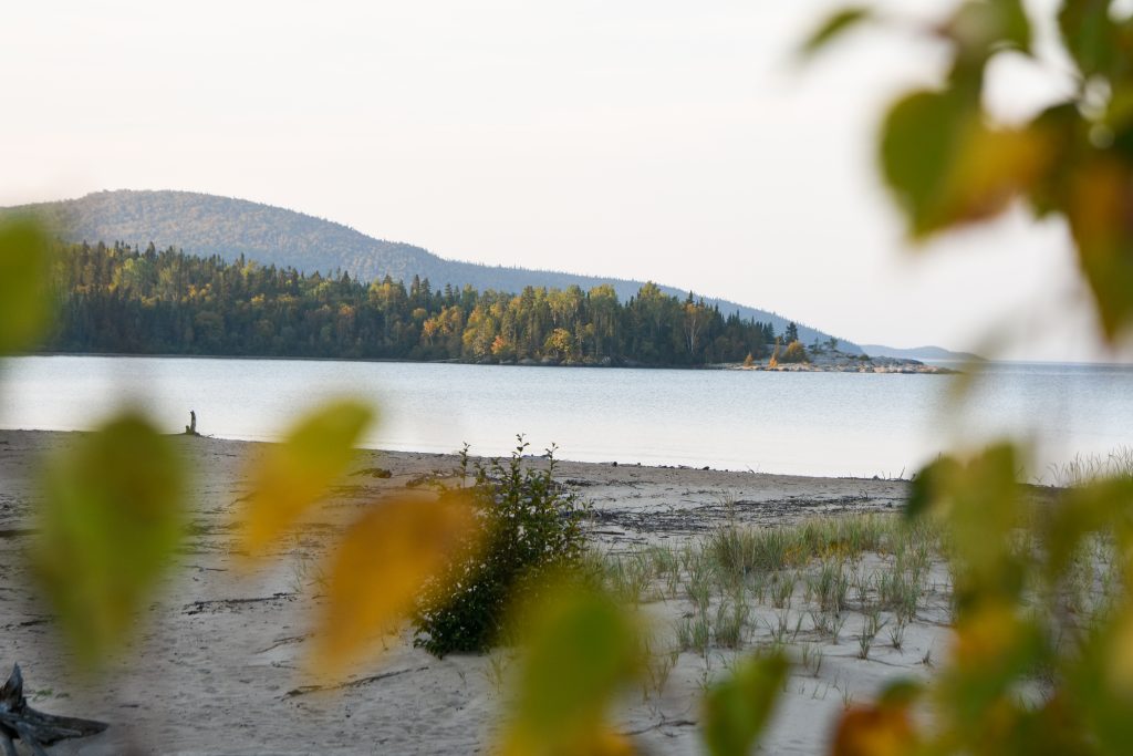 fall foliage across the lake