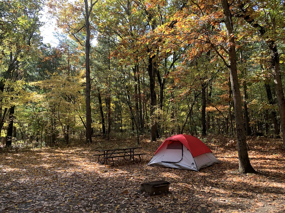 Campsite during fall colours with tent. 