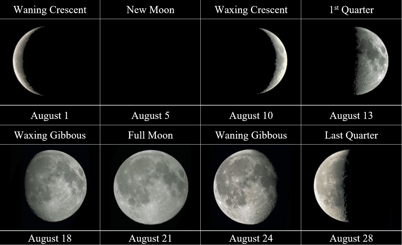 lunar phases of moon