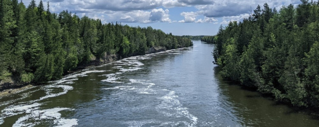 Large river winding through forest