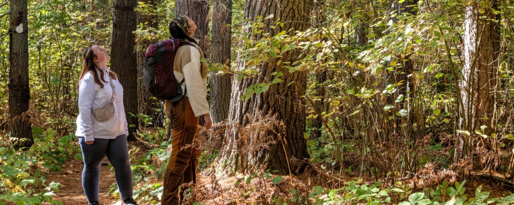 Deux randonneurs levant les yeux vers le feuillage d’une forêt