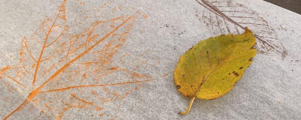 rubbing of leaf, yellow leaf