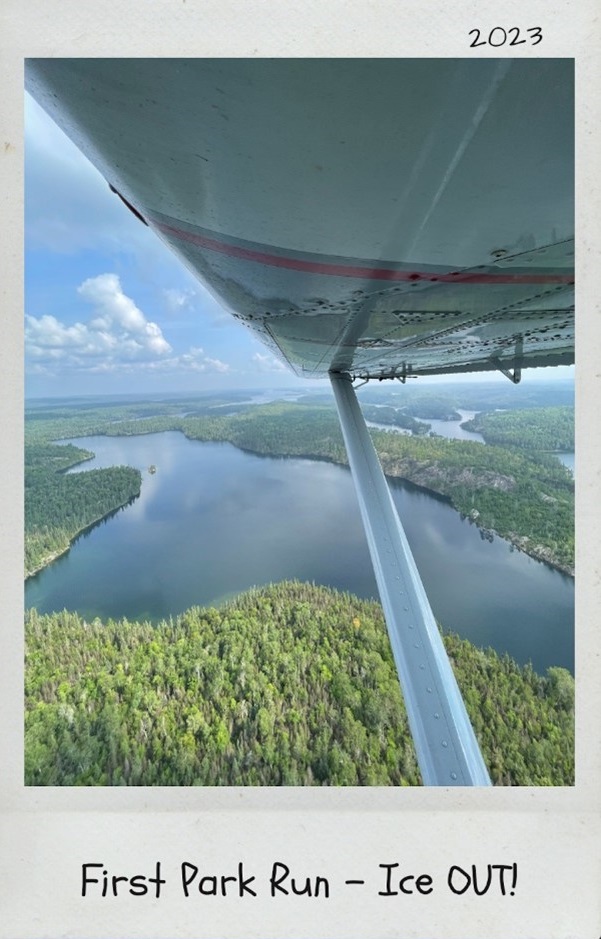 polaroid of aerial shot, wing of plane over lake and forest