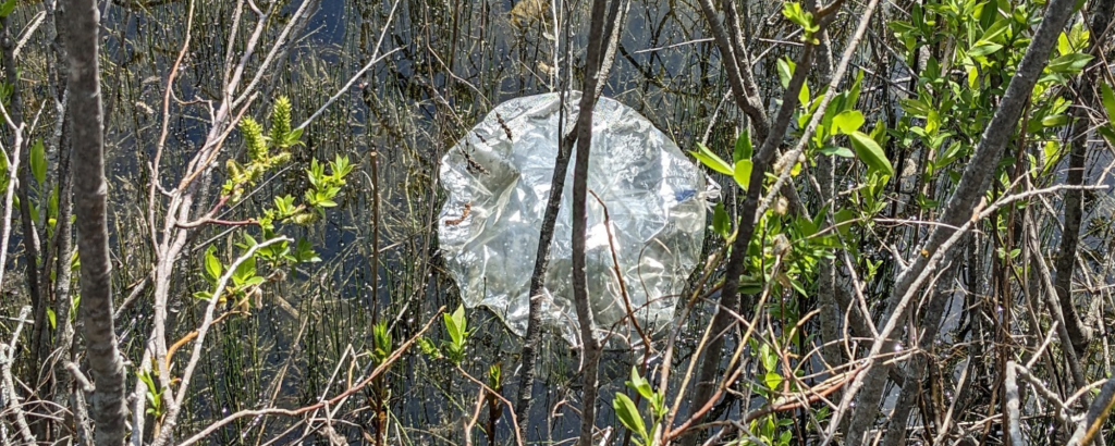 Deflated balloon floating in water