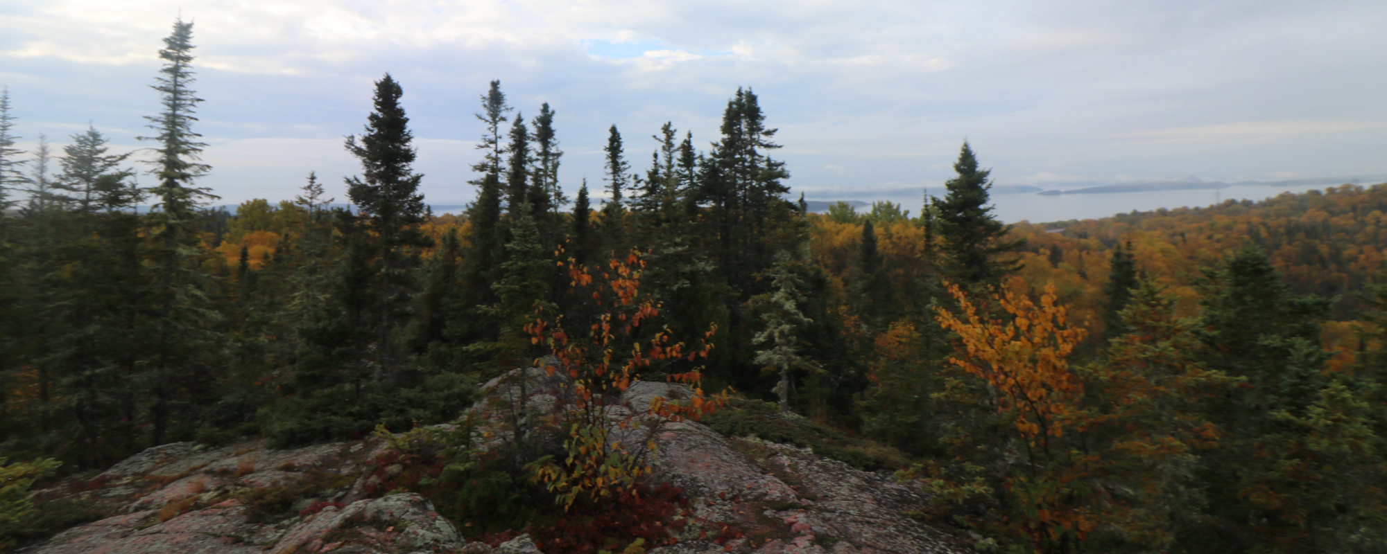 Fall view from hiking lookout