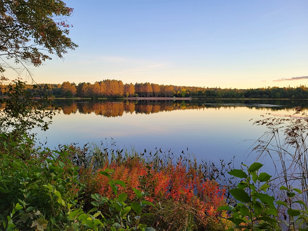 fall colours around lake