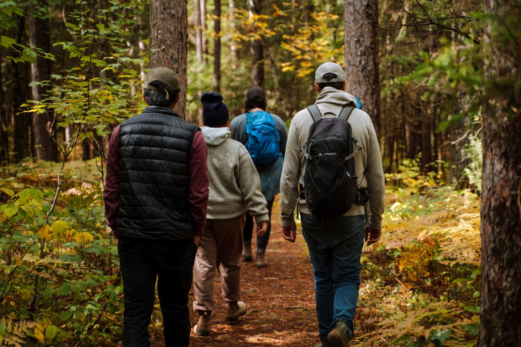 Un groupe de randonneurs traversant une forêt 