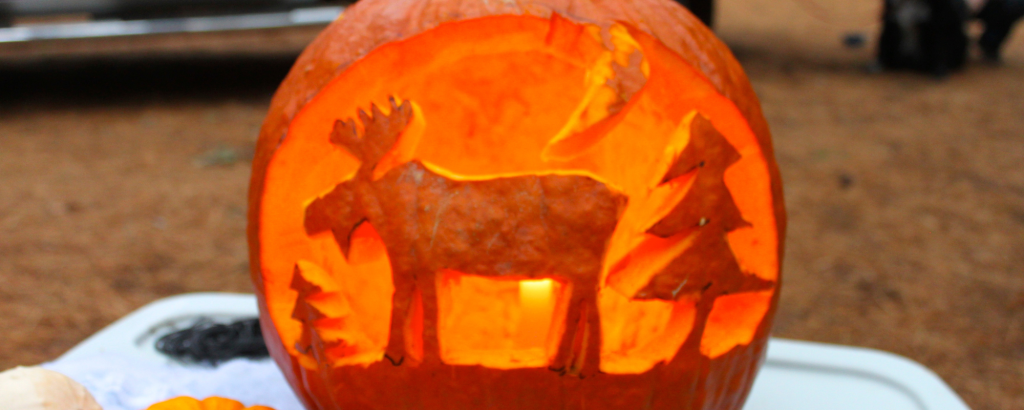 A pumpkin carved into a forest scene with two trees, a moose, and the moon. The pumpkin sits on a table on a campsite