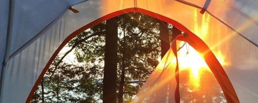 View outside through a tent window of a sunrise peeking through the trees
