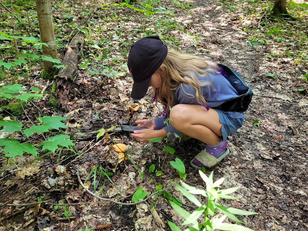 child taking photo of mushroom with phone