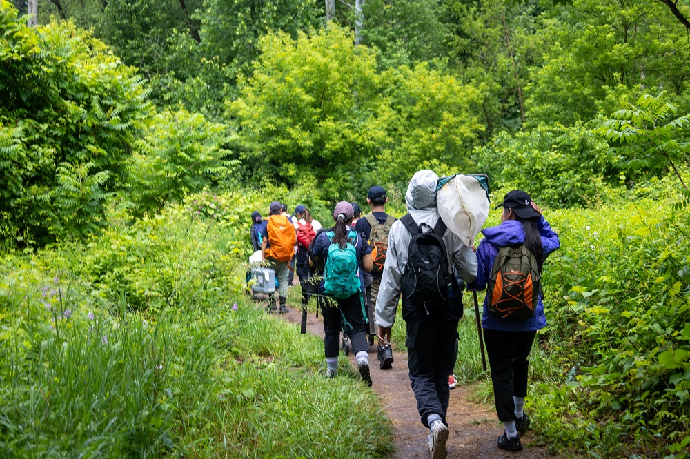 group hiking a trail with nets 