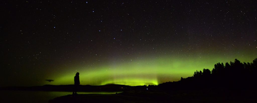 Silhouette standing in front of green Northern Lights over forest