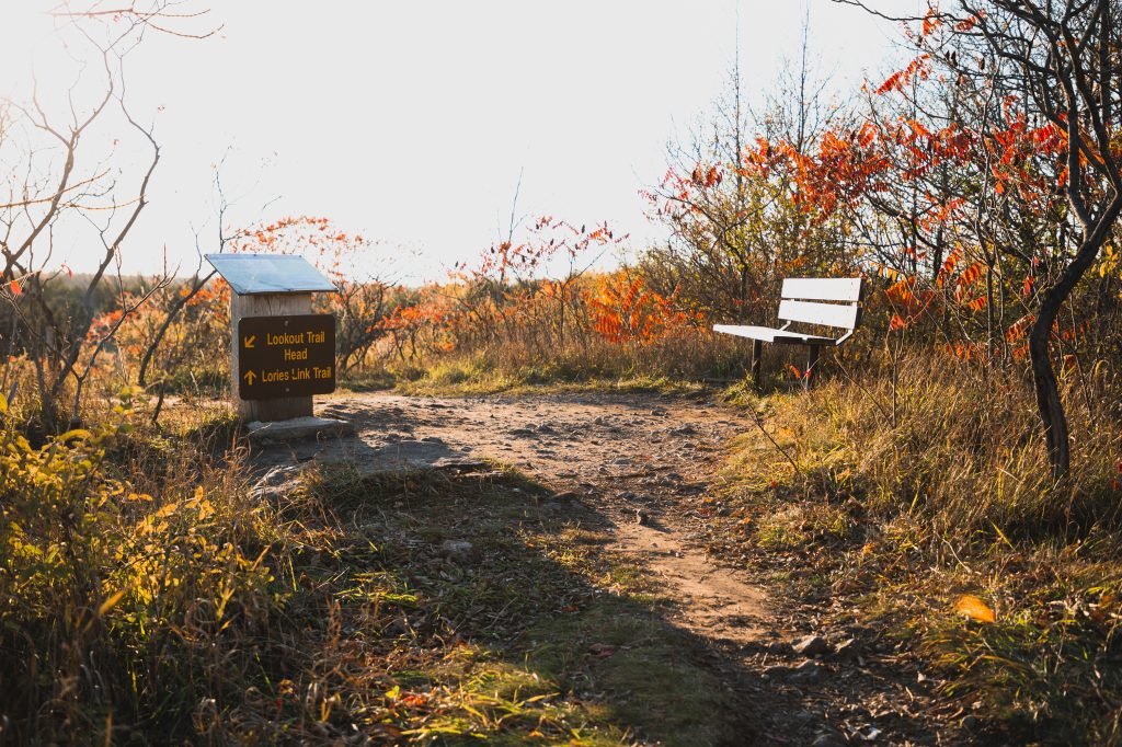 park bench at hiking lookout surrounded by fall foliage