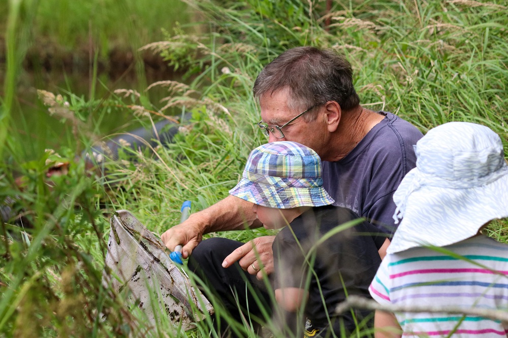 father and child with net in grass