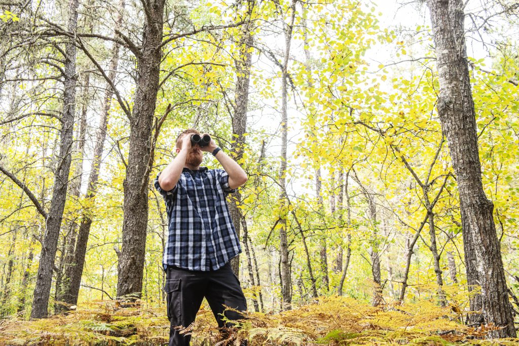 person birding in fall forest