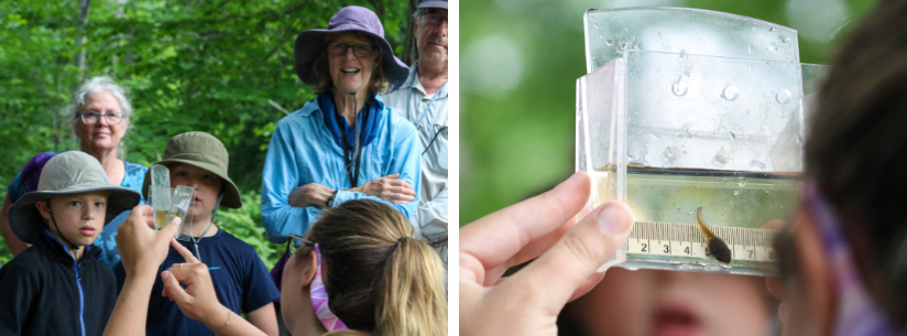 collage of group looking at specimen in container, close up of specimen in container