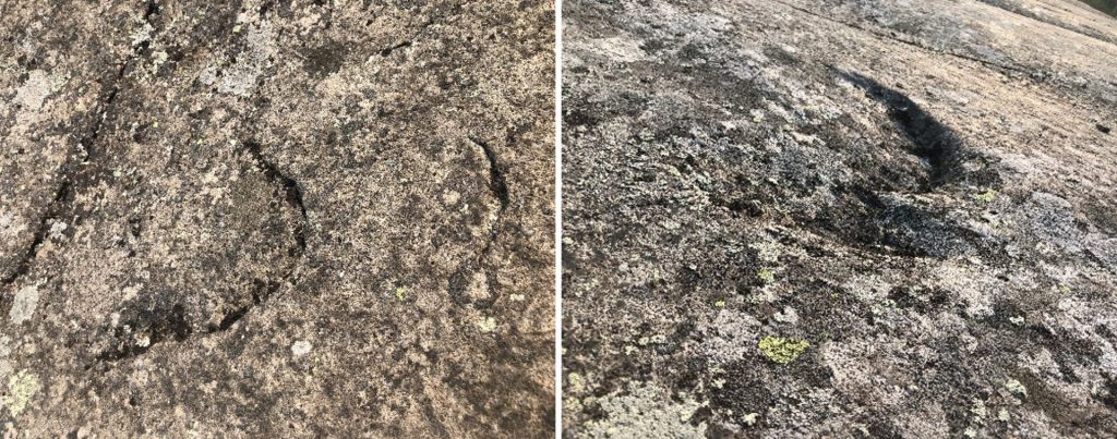 left: large rock. right: close up of lichen on rocks