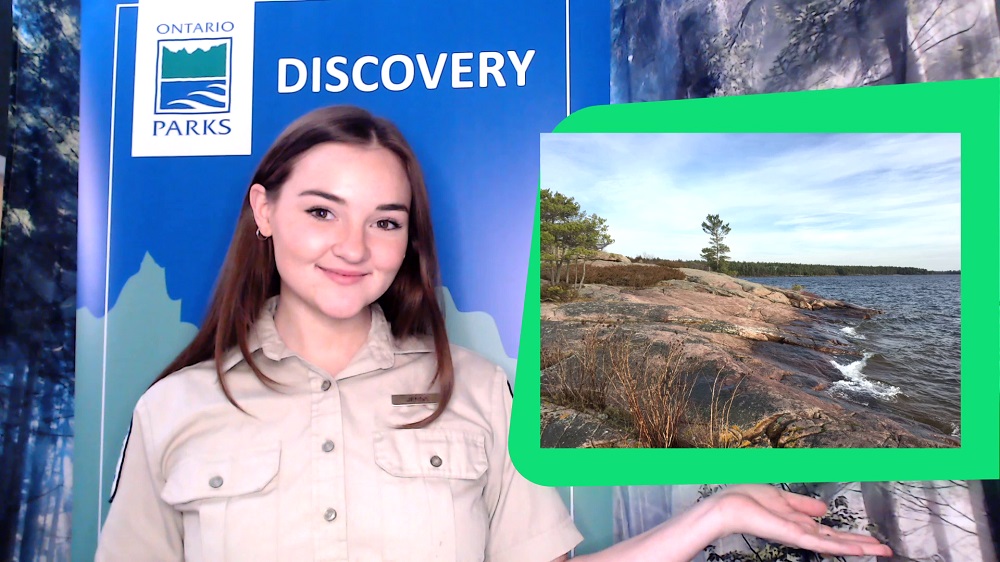 staff presenting virtual program with graphic featuring park scenery