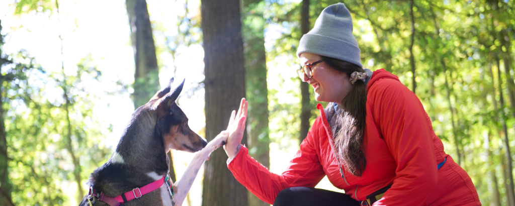 Dog and person high-fiving in forest