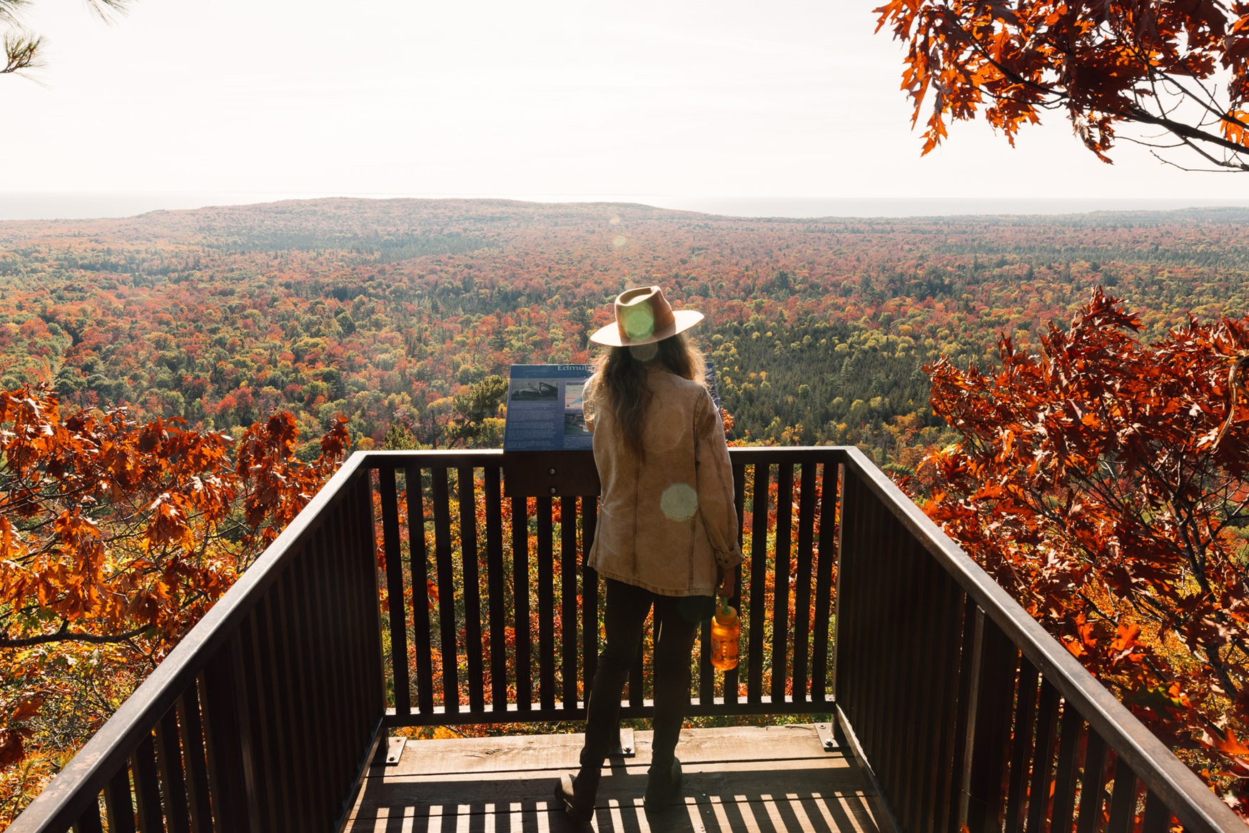 person at lookout surrounded by fall colours