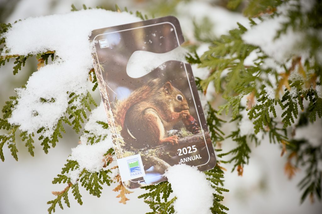 A 2025 Annual seasonal permit hanging on a snow-covered coniferous branch