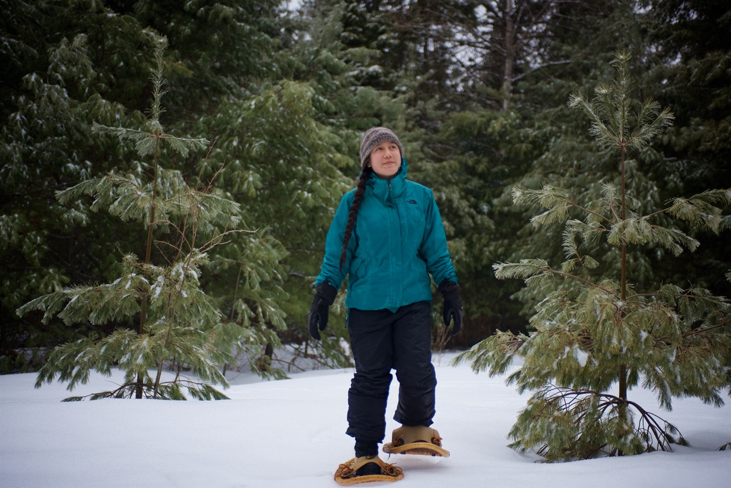 snowshoer on wintery trail in evergreen forest