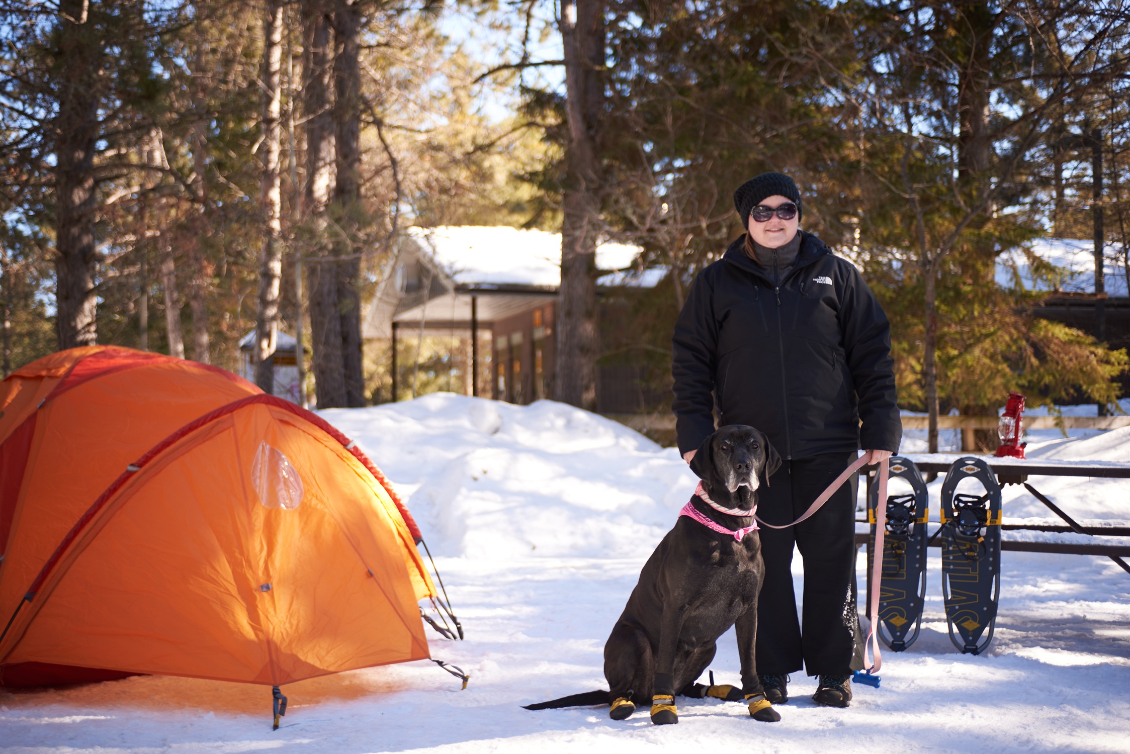Tent and winter campers with dog at Mew Lake Campground