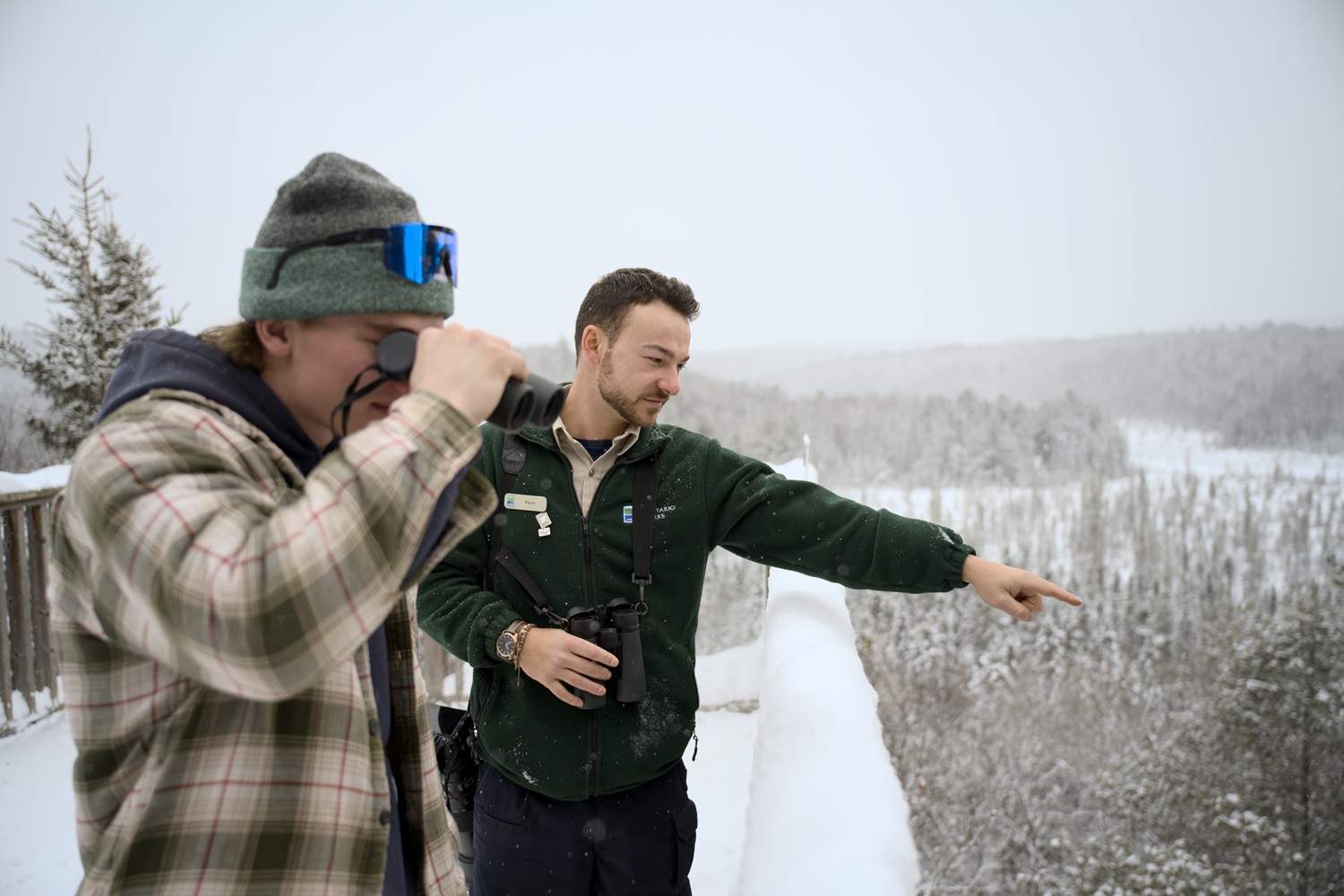 Park staff pointing out wildlife to visitor with binoculars