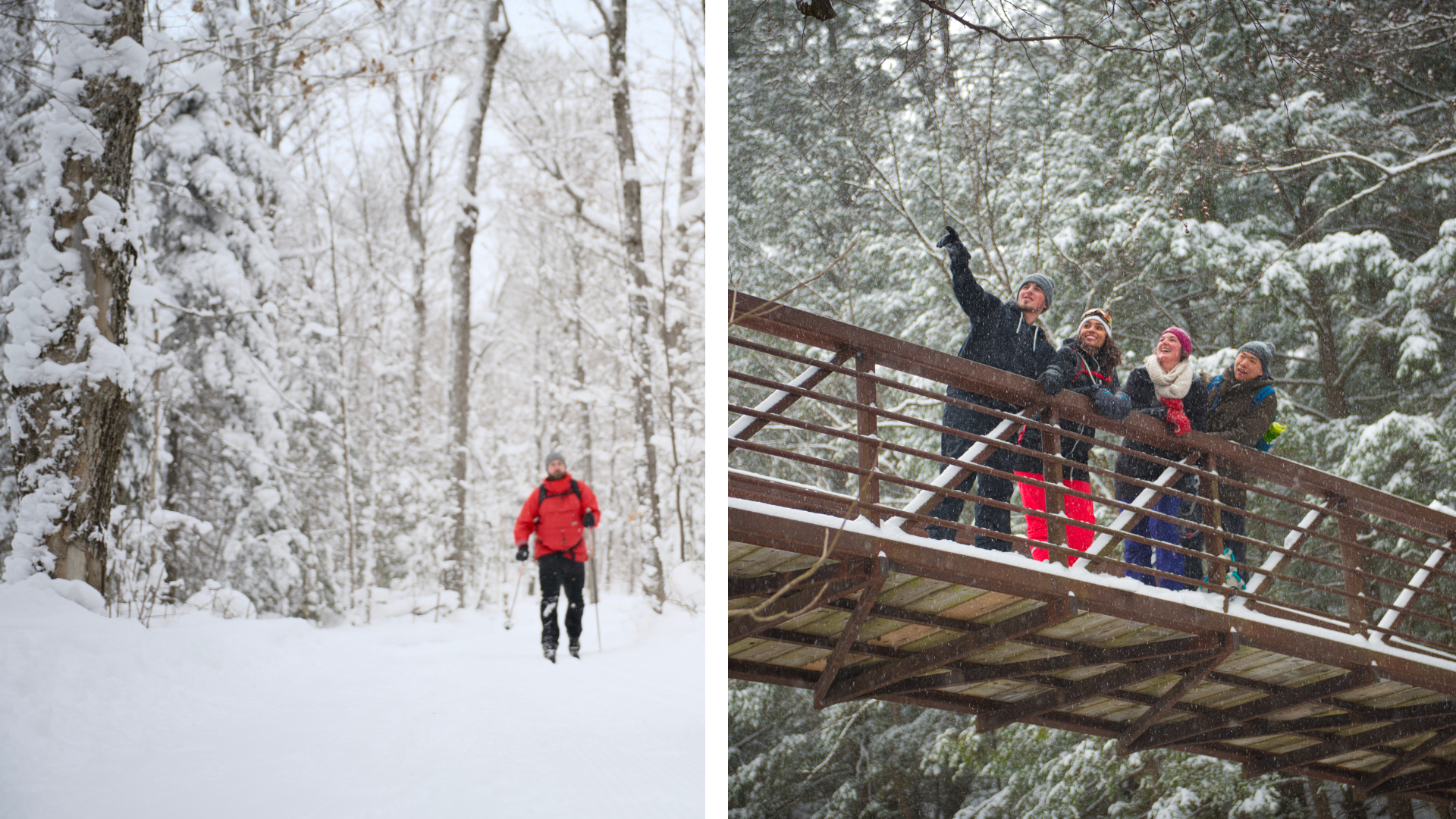 A collage of two images. On the left is a man skiing in Algonquin Provincial Park. On the right is a group of four people admiring the snowy forest on a bridge in Arrowhead Provincial Park.