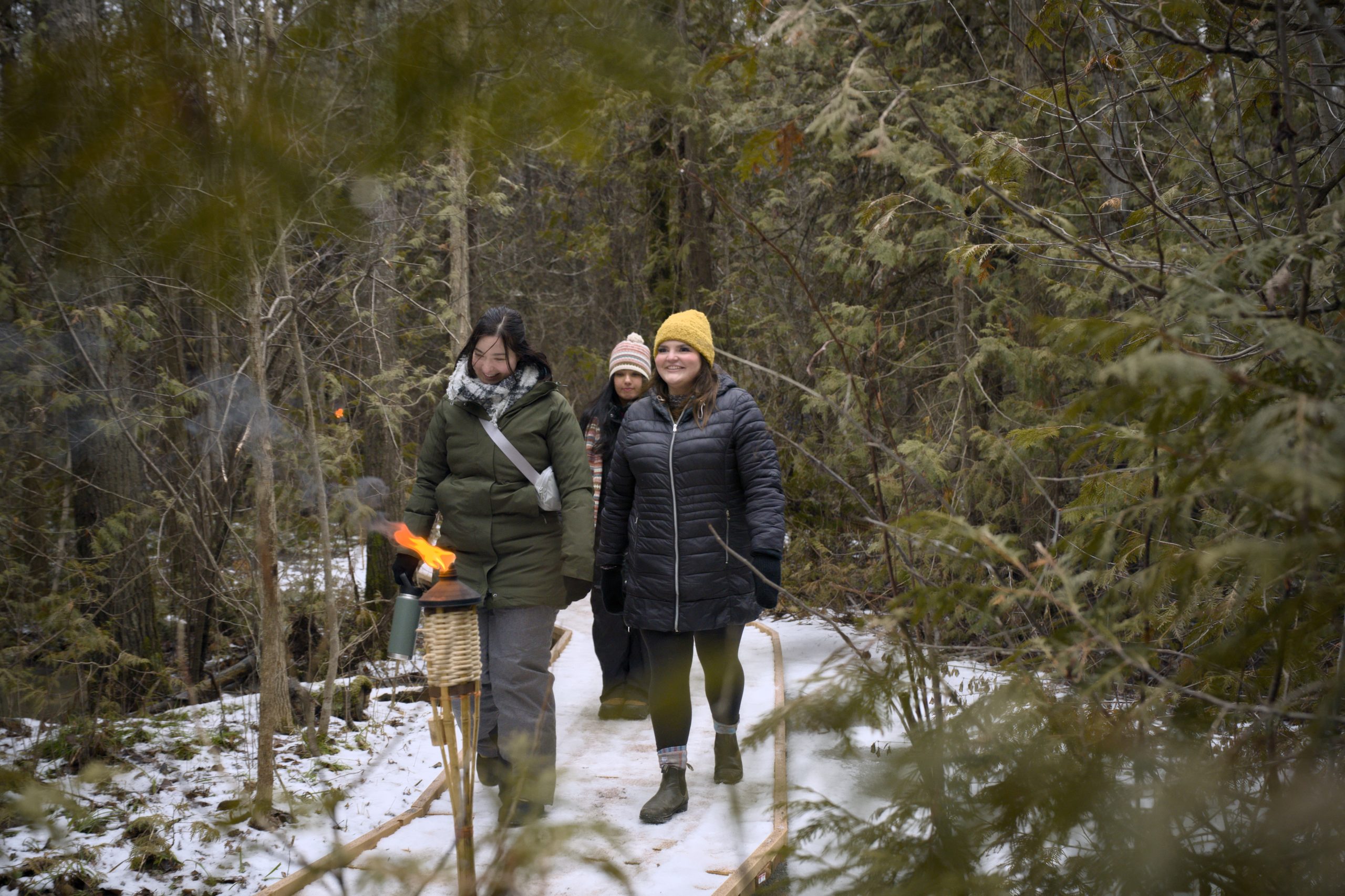 People hiking on snowy trail, framed by coniferous branches