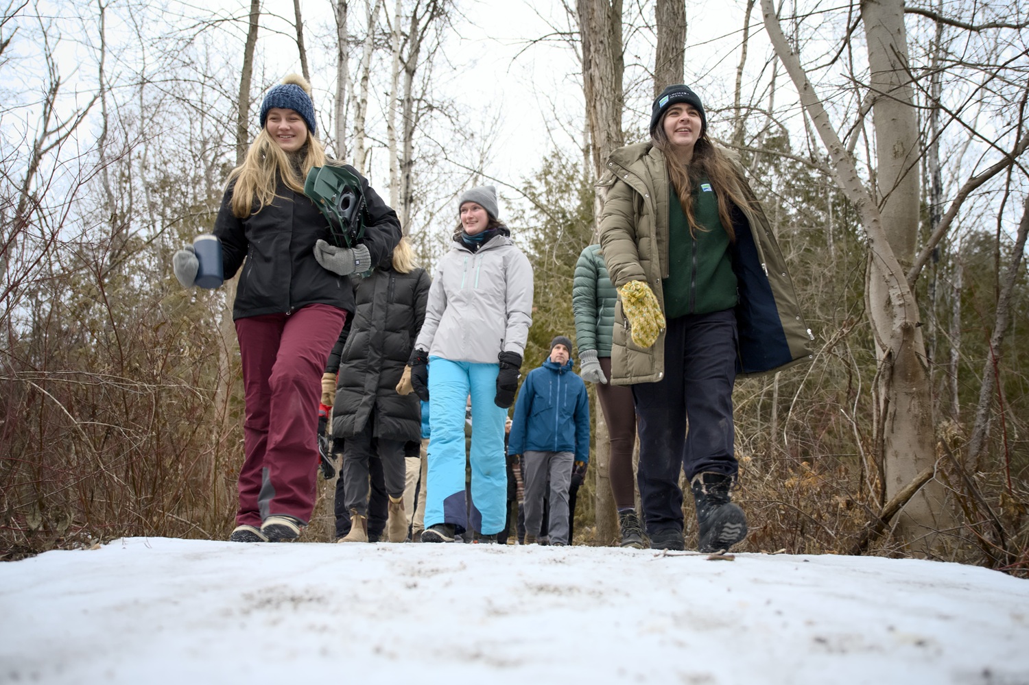 hikers in winter forest following an Ontario Parks guide