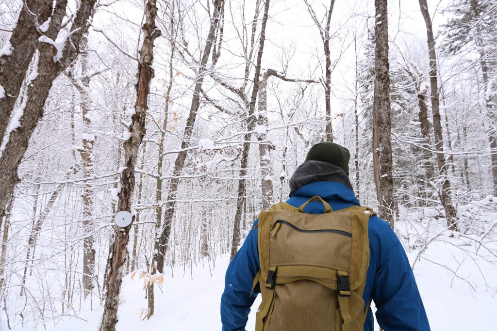 hiker wearing backpack, walking through snowy forest