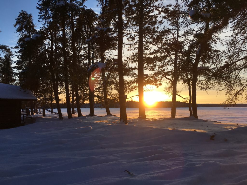 A winter sunset with the sun shining through a row of trees on a snow-covered lake