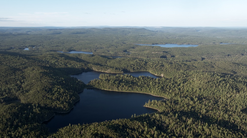 aerial of lakes and forest