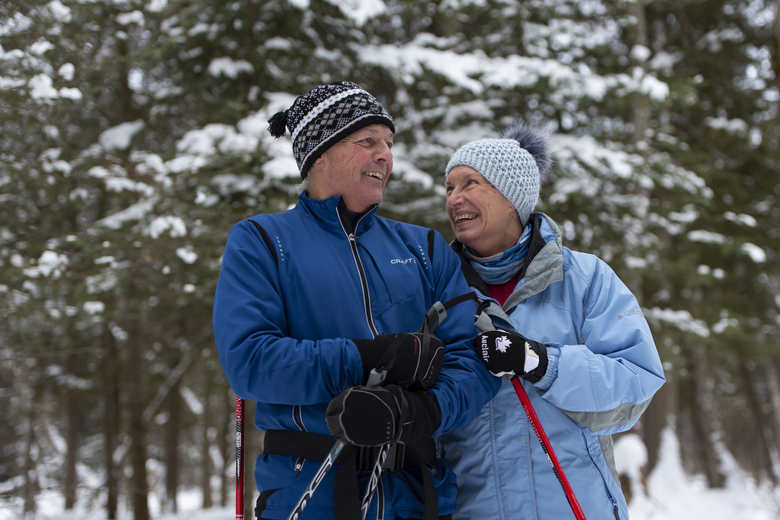 two skiers paused on trail