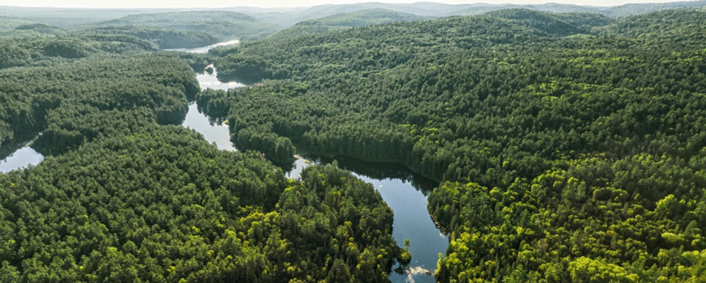 Aerial photo of a river winding through a forested landscape