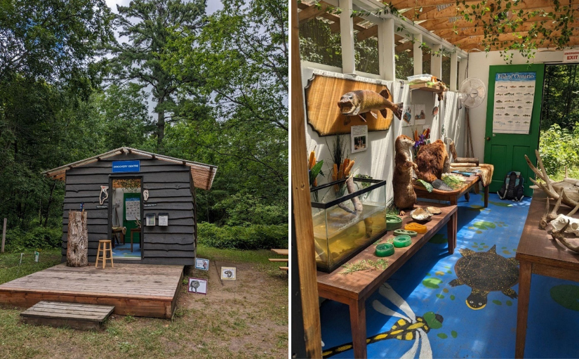 collage of exterior and interior of Discovery Centre