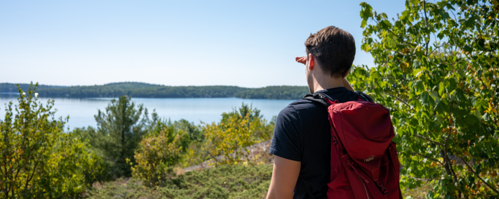 A person standing on a hiking trail lookout